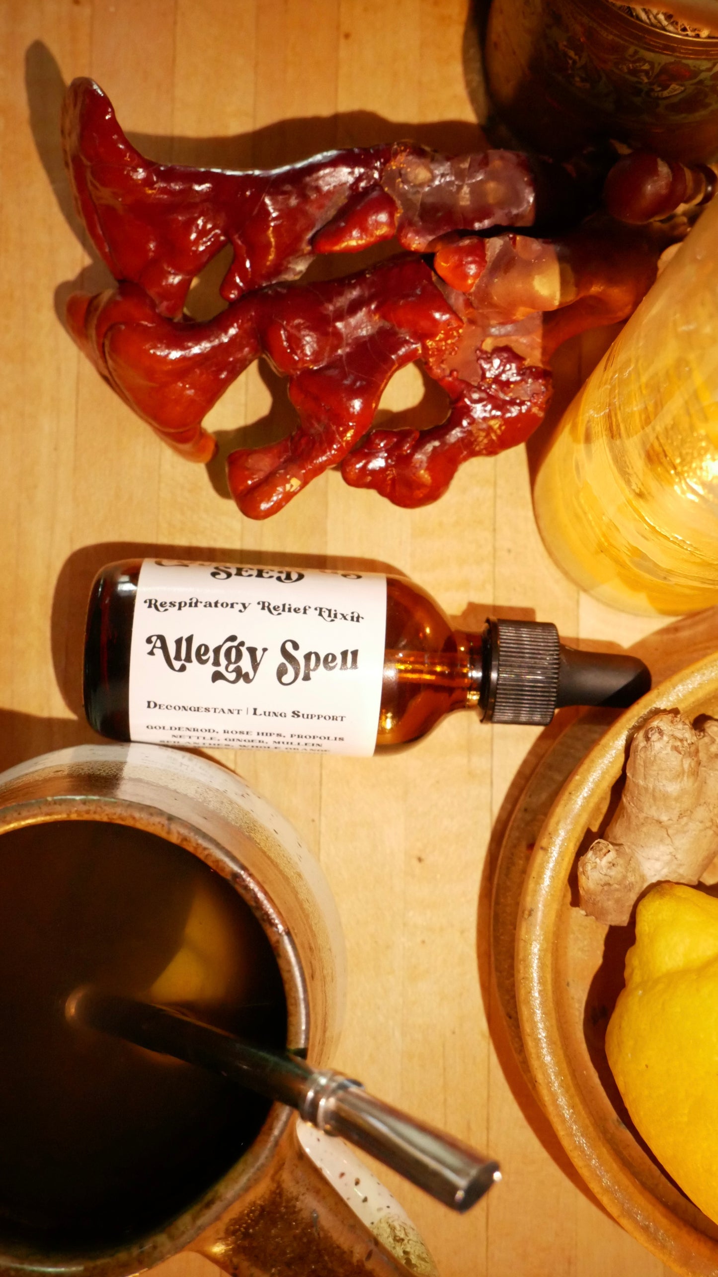 Allergy Spell Elixir | Respiratory Relief + Gut Comfort